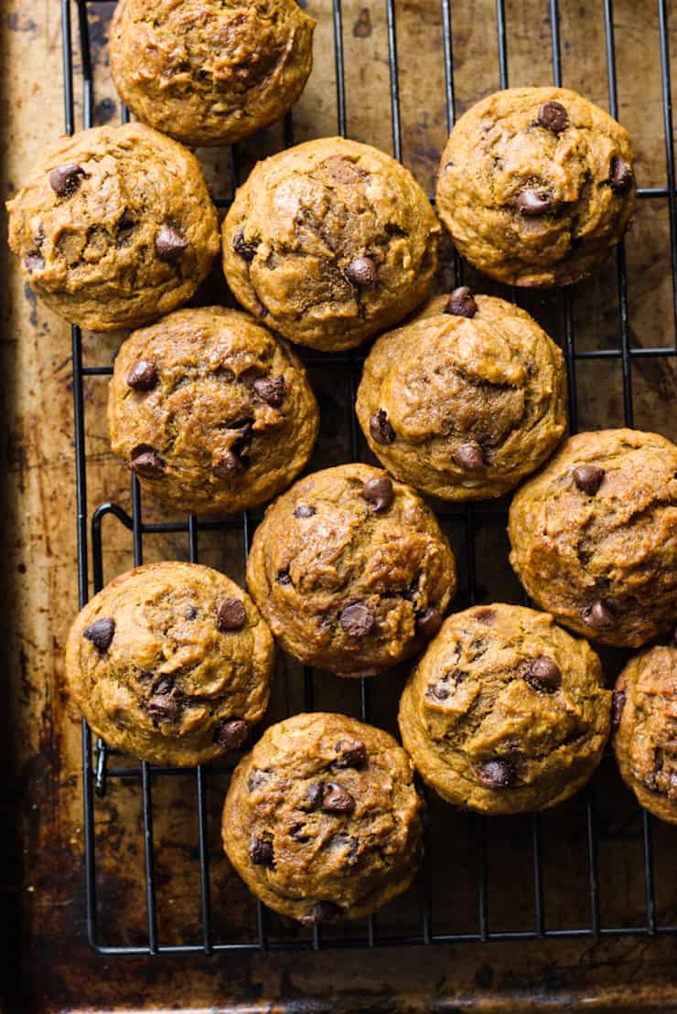 Healthy Chocolate Chip Pumpkin Muffins