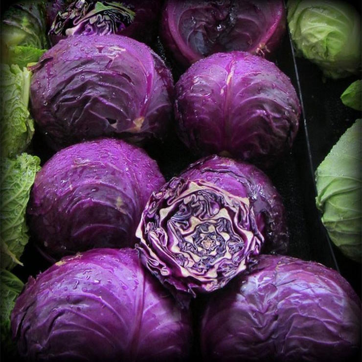 Purple Cabbage