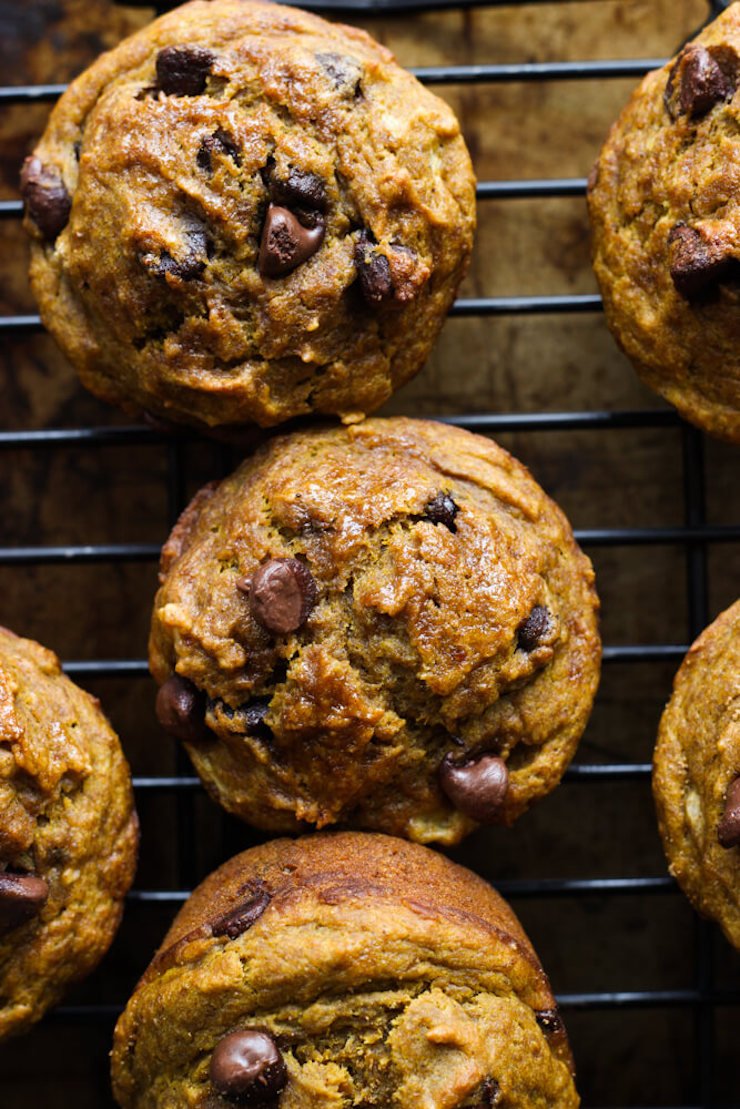 Healthy Chocolate Chip Pumpkin Muffins